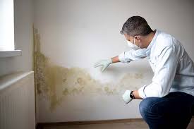 Environmental Consulting for Mold Prevention